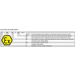 Tiger ATEX Chain Block SS20 rating